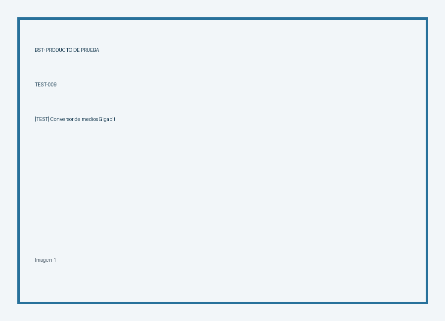 [TEST] Conversor de medios Gigabit